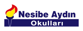 Nesibe Aydın Okulları